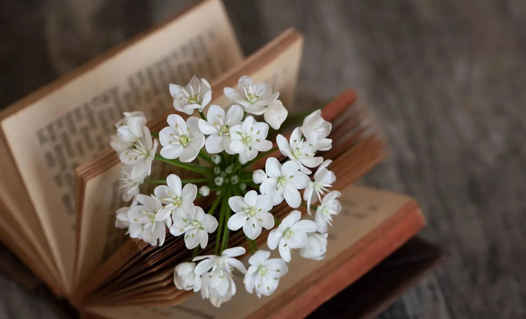 1769161704994.jpg 微信图片_2026-01-23_180957_856.jpg